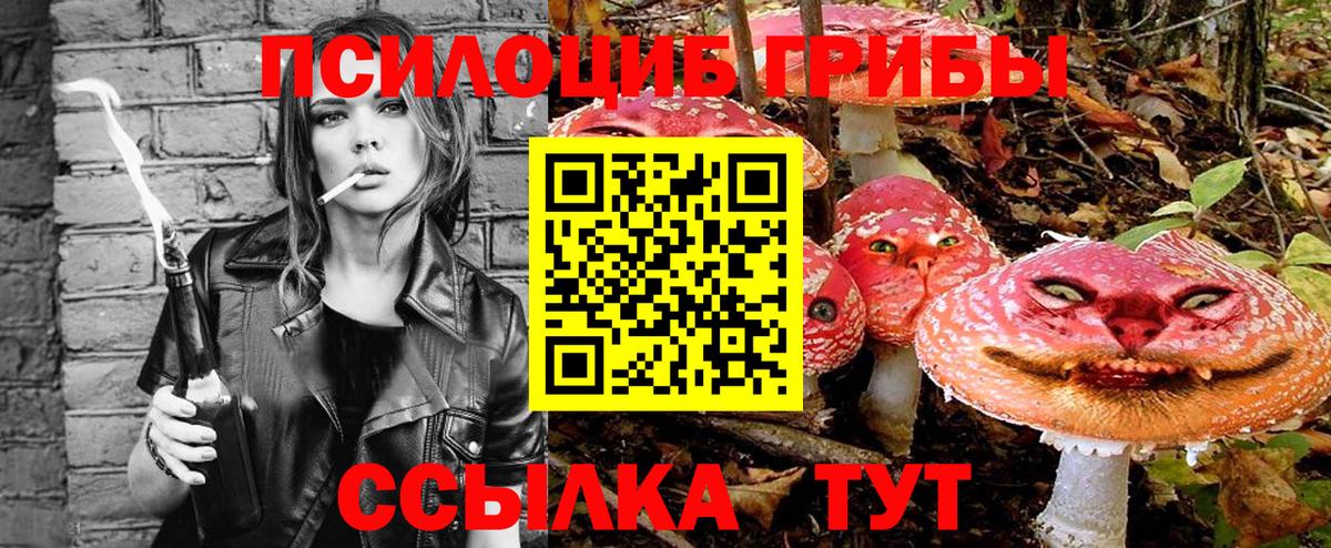 Псилоцибиновые грибы Psilocybine cubensis  Вход с VPN  Славянск-на-Кубани 